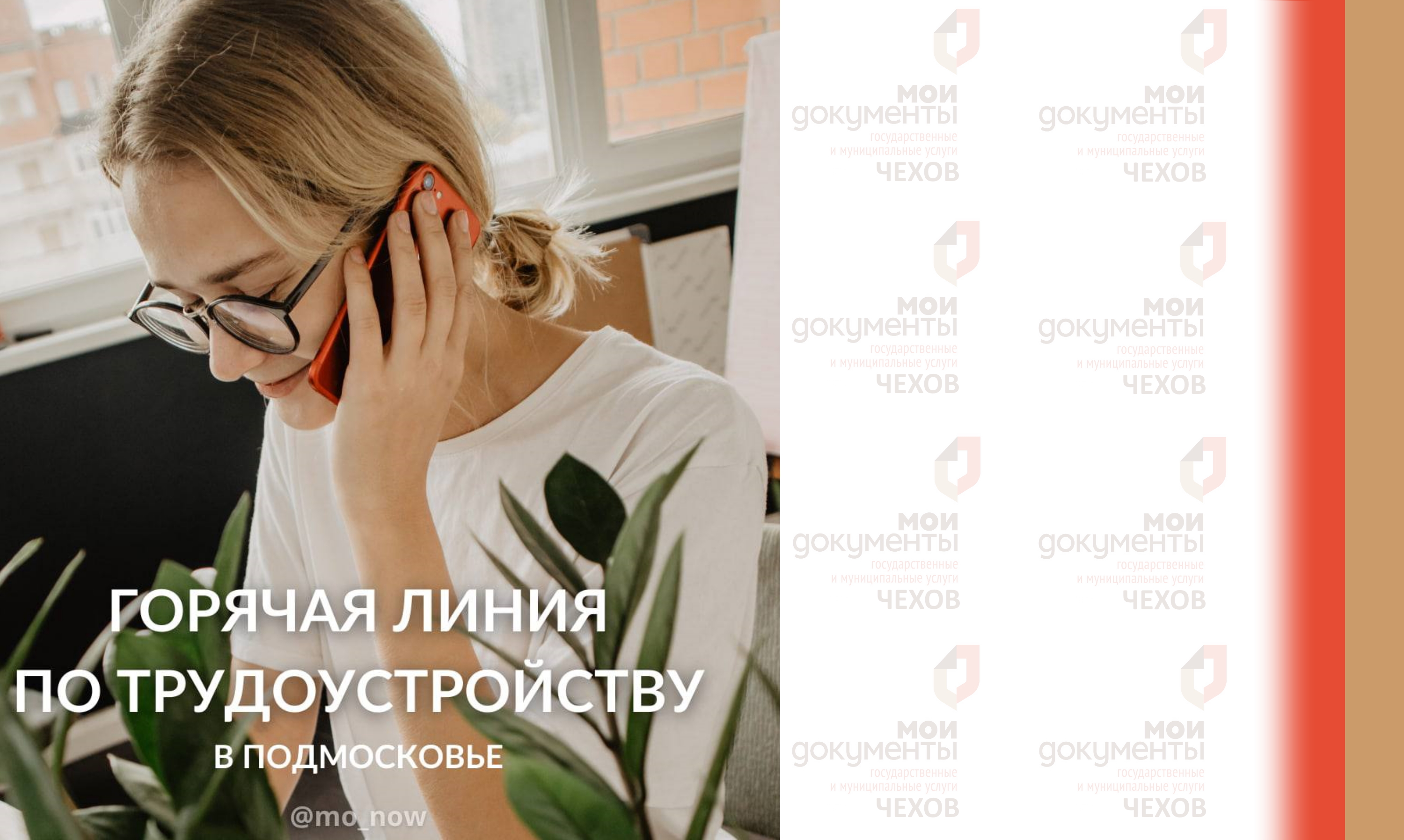В Подмосковье заработала горячая линия по трудоустройству 